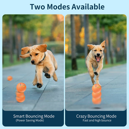 DozyPaws Rechargeable LED Toy Ball